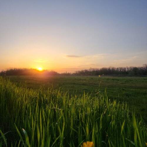 Photo #13361505