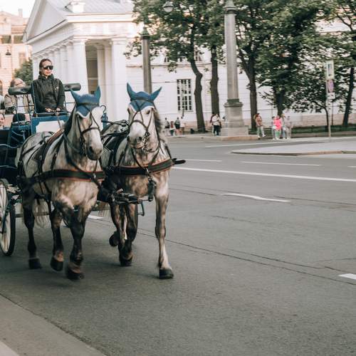 Photo #13361512