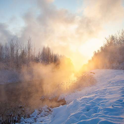 Photo #13361543