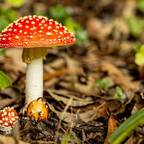 Photo #13361589