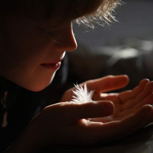 Photo #13361630