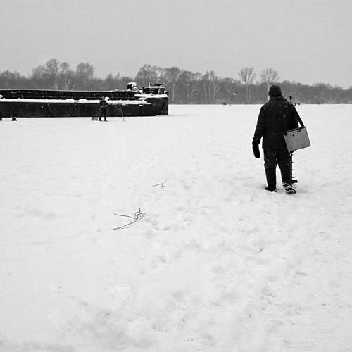 Photo #13361775