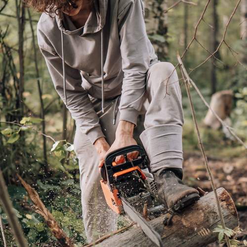 Photo #13361904