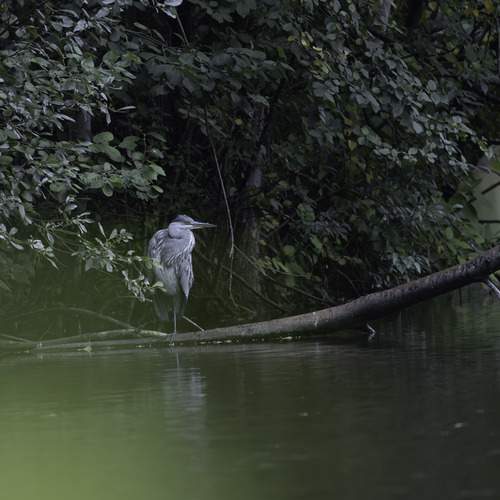 Photo #13361974