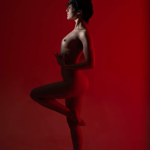 Photo #13361988