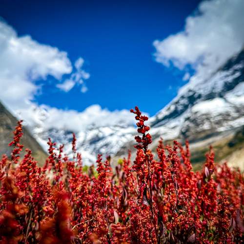 Photo #13362105