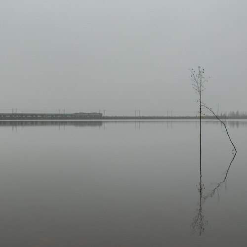 Photo #13362215