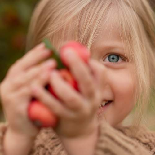 Photo #13362226