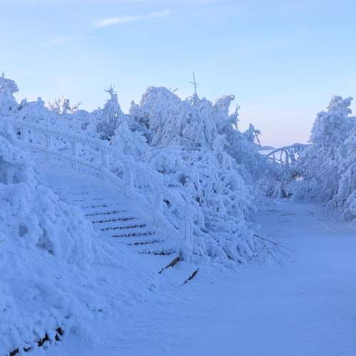 Photo #13362318