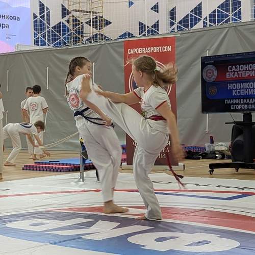 Photo #13362345