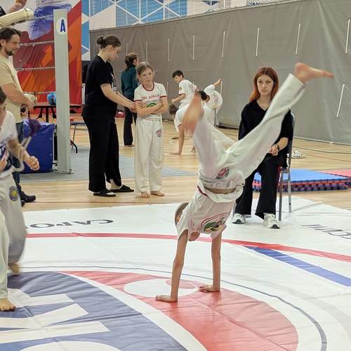 Photo #13362347