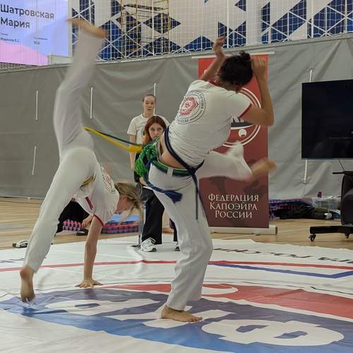 Photo #13362348