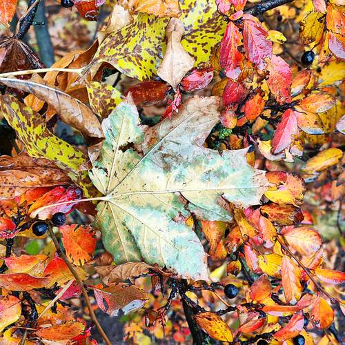 Photo #13362396
