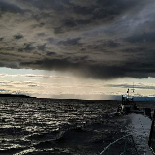 Photo #13362481
