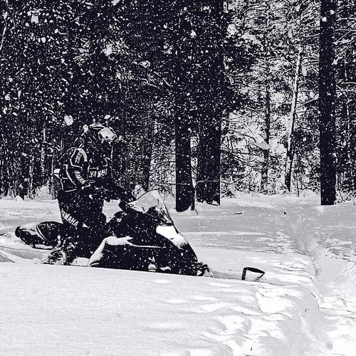 Бесстрашный гонщик