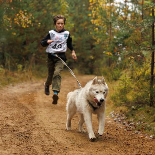 Photo #13362655