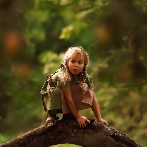 Photo #13362727