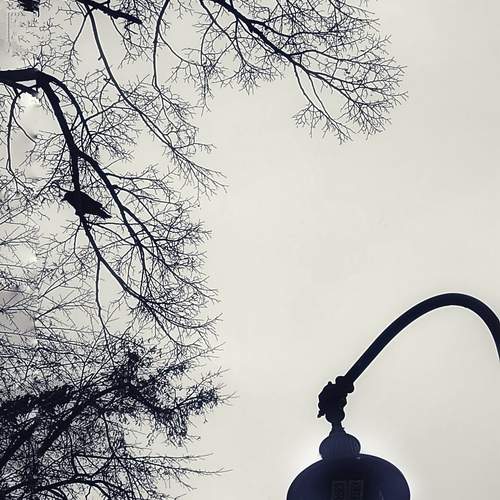 Photo #13362833