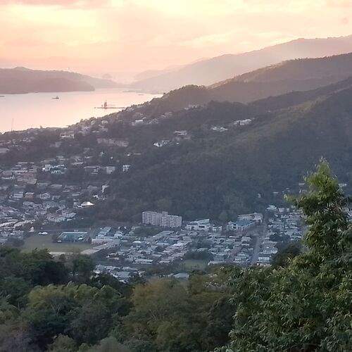 Photo #13362857