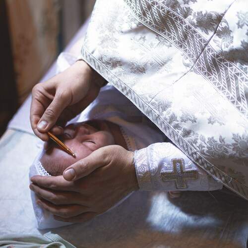 Photo #13362929
