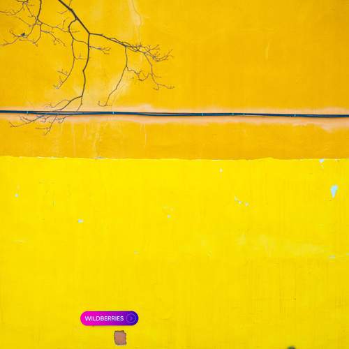 Photo #13362947
