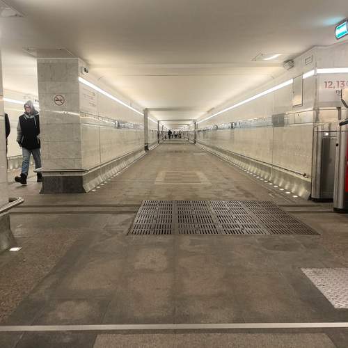 Photo #13362961