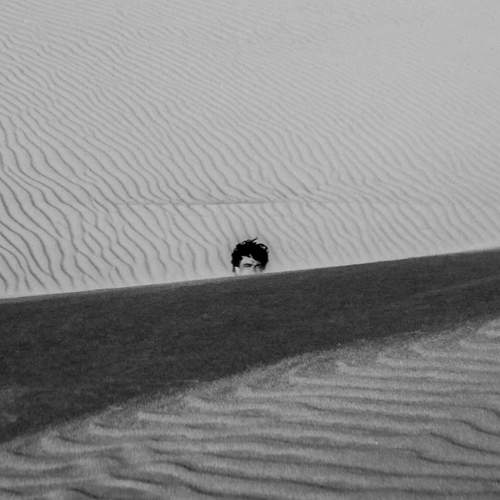 Photo #13362981