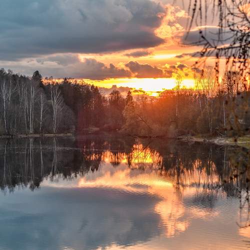 Photo #13363009