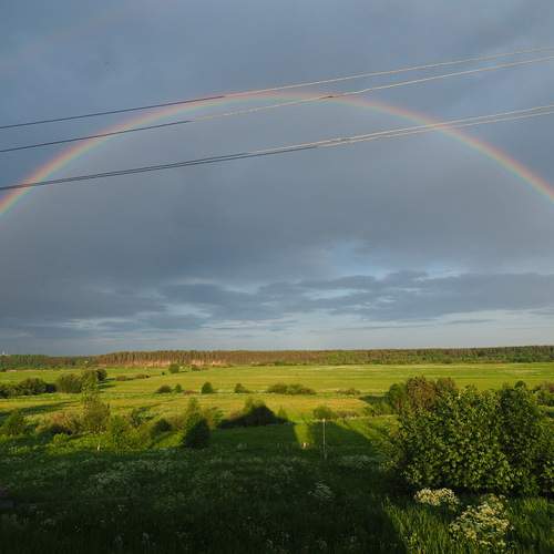 Photo #13363054