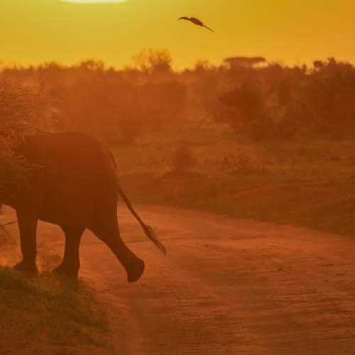 Photo #13363197
