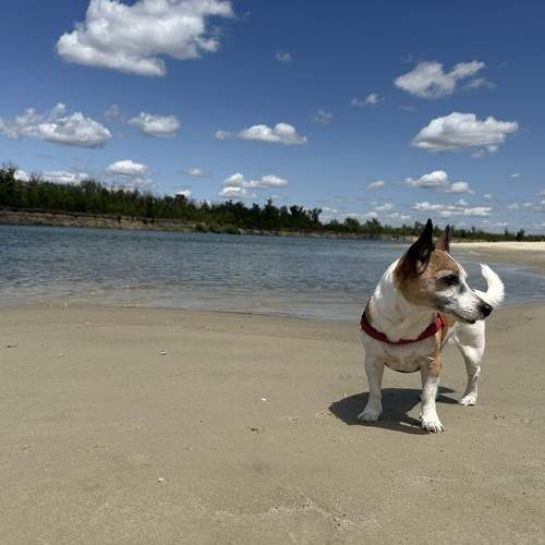 Photo #13363276