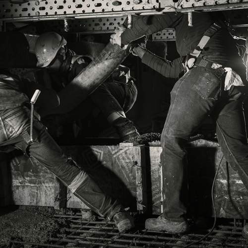 Photo #13363308