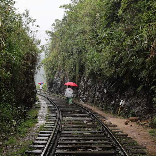 Photo #13363350
