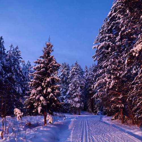 Photo #13363351