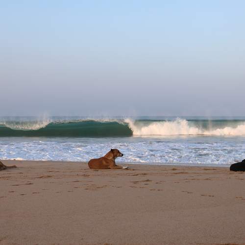 Photo #13363390