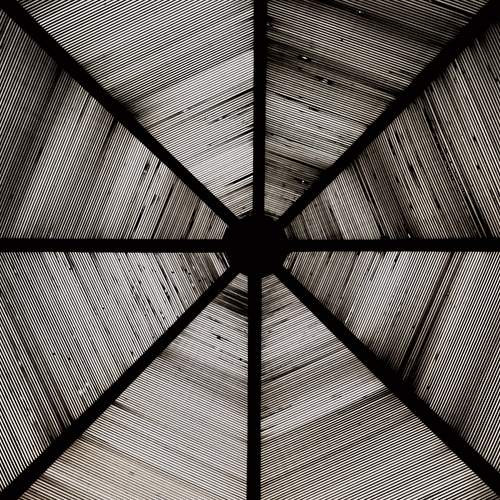 Photo #13363399