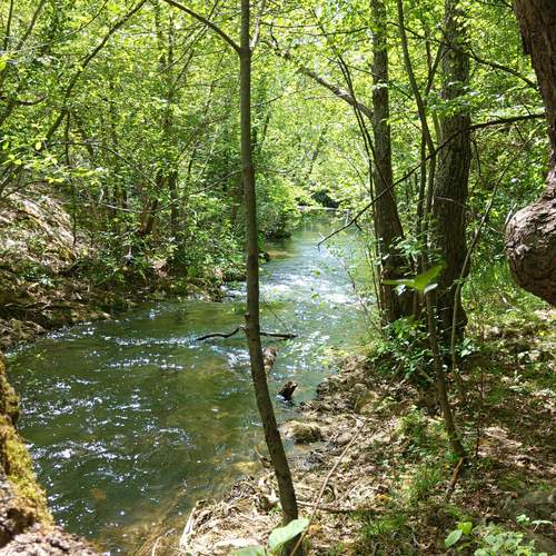 Photo #13363496