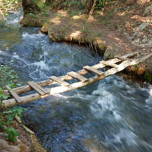 Photo #13363497