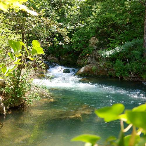 Photo #13363498
