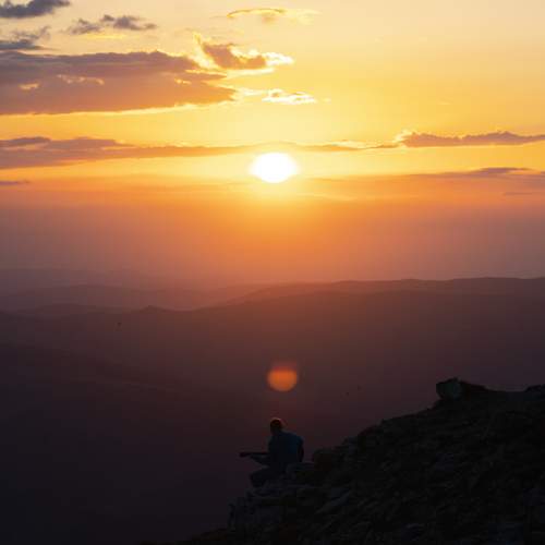 Photo #13363525