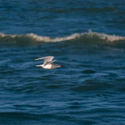 Photo #13363526
