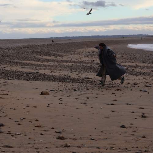 Photo #13363551