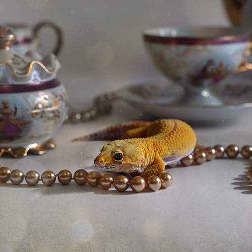 Photo #13363564
