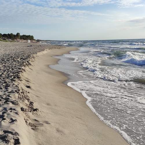 Photo #13363569