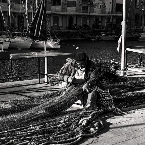 Photo #13363717