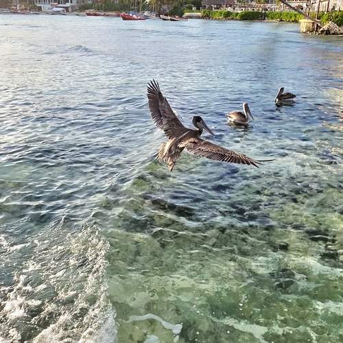 Photo #13363741