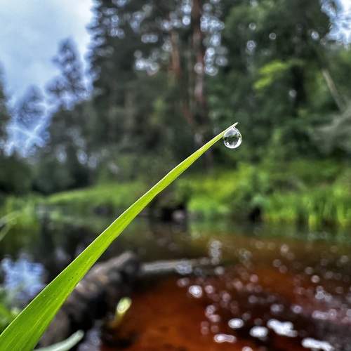 Photo #13363785