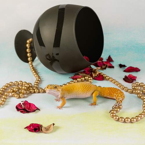 Photo #13363826