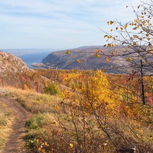 Photo #13363853