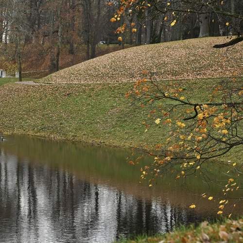 Photo #13364030